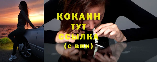 Альфа ПВП Богородск