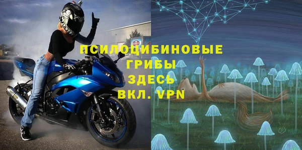 прущая мука Богородицк