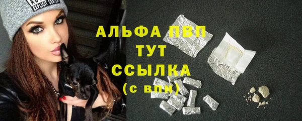 экстази Богданович